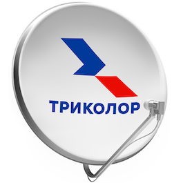 Триколор Пушкин